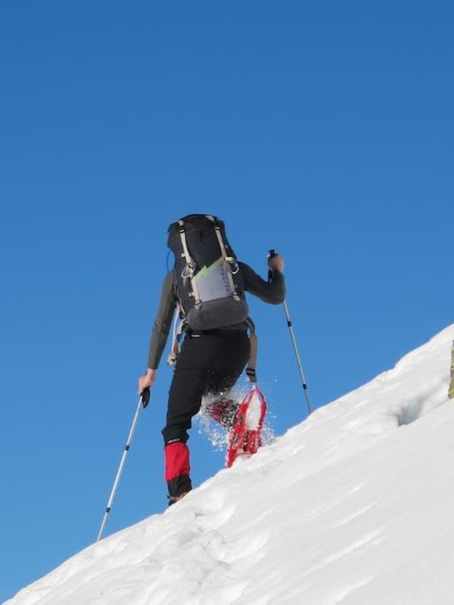 "Le Desman" Confortable T2 A La Montagne Face Aux Thermes Rando, Cure Aulus-les-Bains Luaran gambar