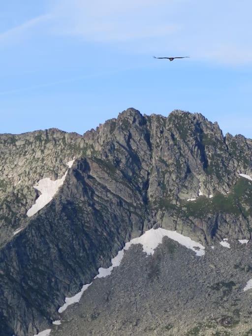 "Le Desman" Confortable T2 A La Montagne Face Aux Thermes Rando, Cure Aulus-les-Bains Luaran gambar