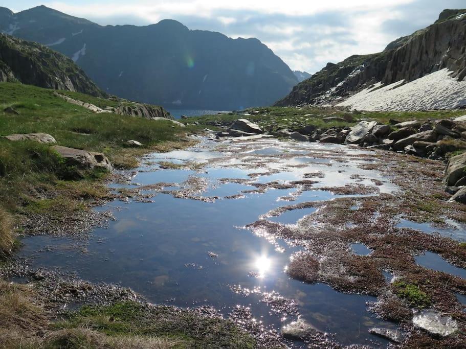 "Le Desman" Confortable T2 A La Montagne Face Aux Thermes Rando, Cure Aulus-les-Bains Luaran gambar
